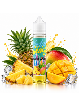 Nectar Juicy - Mangue Ananas